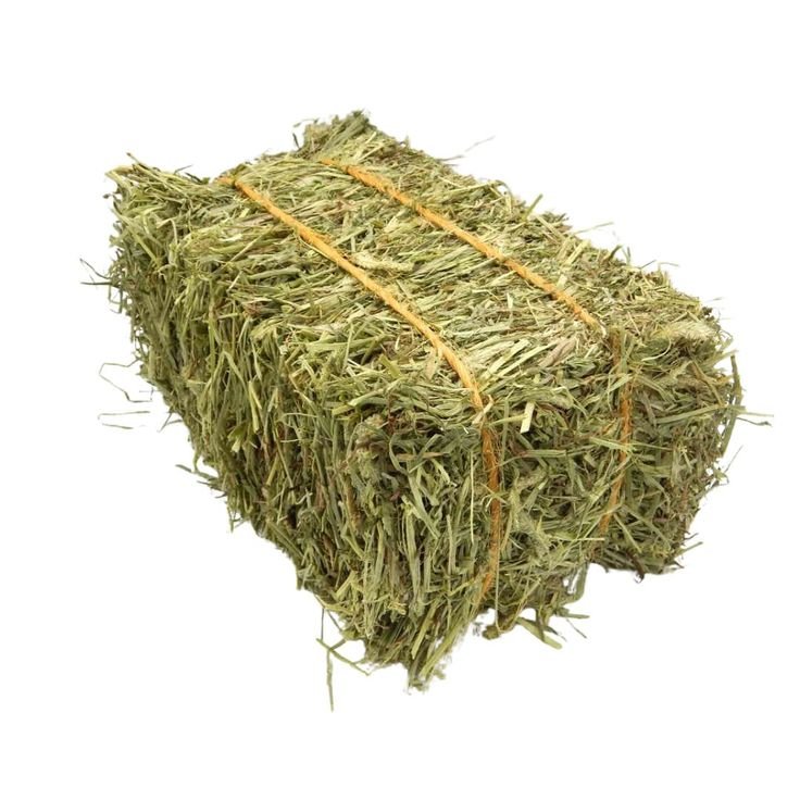 Cow Grass Feed