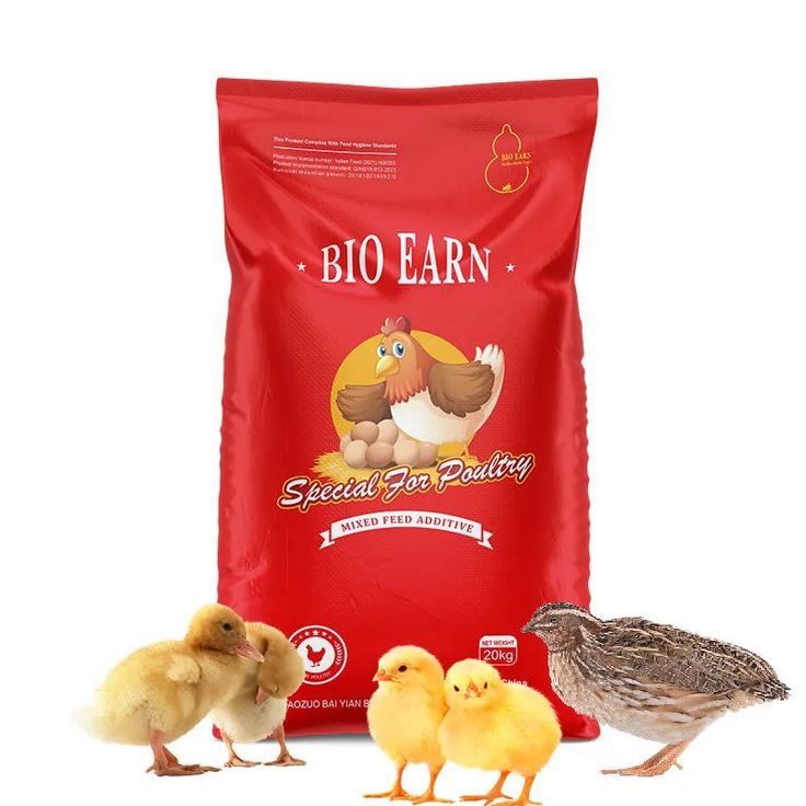 Day Old Chicken Feed